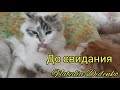 Секонд Хенд мои любимые находки. Платья из шелка, шерсти и хлопка.