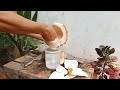 the easy to peel young coconut part 18#cuttingskills #coconutcuttingskills #youngcoconut#coconuttree