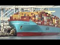 PORT OF SAN FRANCISCO SHIPSPOTTING 4K | San Francisco Bay Ferry￼