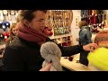 7 COPENHAGEN YARN STORES!! Knitting for Olive, Tante Grøn, Bruun Strik, etc!! | Yarn store vlog