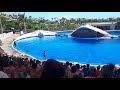 Tenerife Aqua Land June 2018 dolphin show