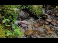 Gentle Sound of Mountain Stream - Relaxing White Noise Sounds for Sleep, Relaxation, Meditation