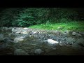 Peaceful River Flowing Sound. Gentle River, Relaxing Nature Sounds. White Noise for Sleep, Study.