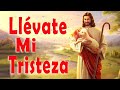 Llévate Mi Tristeza 1 Hora Música De Oracion Padre Chelo De Música Católica - Música Católica 2023