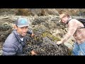 Foraging a Meal Fit for a King!! Eel, Kelp, Clams, Fish, Crab, Mussels, Wild Greens