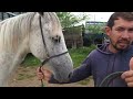 CAVALO DE LUXO NA FEIRA EM CACHOEIRINHA PE