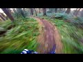 Rostrevor | Bins1 | Mountain Biking