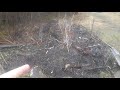 Hugelkultur 1 - basics of hugel/spiral/keyhole gardens, spring preparation, water, soil and light.