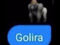 Golira 🦍