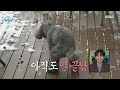 [HOT] The dog's behavior that embarrassed Taeyeon?, 나 혼자 산다 230203