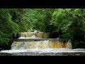 Relaxing Forest Waterfall Nature Sounds for Sleeping, Meditation, Study - Calm Birds Chirping Sound