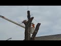 Zap's Tree Service. London, Ontario