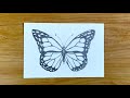 How to draw a butterfly step by step easy for beginners