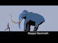 Cenozoic Beast Size Comparison (Mammals)