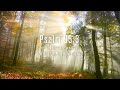Praise The Lord : Instrumental Worship & Prayer Music With Scriptures & Autumn🍁CHRISTIAN piano