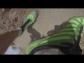 Ankle Camera: Downhill Trail Running