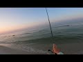 Beach Fishing for GIANTS Then This Happened!