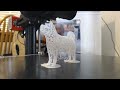 3D printed wireframe Shiba Inu dog - timelapse