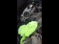 How I Cleaned My Throttle Body