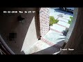 Not Lazy Amazon Delivery Man 2018-04-12