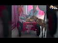 Puppy Who Was Living On The Street Loves Opening Sliding Doors | The Dodo