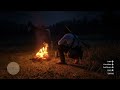 Who is this lady? Red Dead Redemption 2  random campfire cutscene