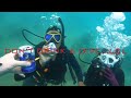 Diving near Hon Tam Island - Part 1