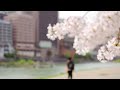 桜･宝塚大劇場･阪急電車･TMS