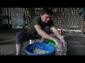 Harvesting giant bamboo shoots and picking jackfruit. Robert | Green forest life