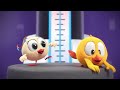 Day 'N' Night | Where's Chicky? | Cartoon Collection in English for Kids | New episodes