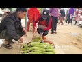 Robert sells young corn and wild ginseng at the highland market. Green forest life (ep234)