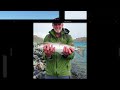 Fishing Twizel Canals, South Island New Zealand