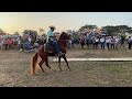 Pasos peruanos finca la chuculera