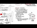 Cardiorenal Syndrome - classification, mechanism, pathophysiology, treatment