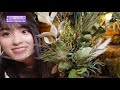 Cute decoration with Momoko Ozono's room tour & dried flower!