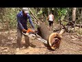 Fastest skill cutting down 3 Huge trees with strongest chainsaw ‼️