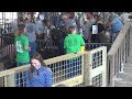 4-H/FFA Pig Show - Greenup County Fair