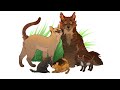 In Defense of Sasha | Warrior Cats