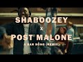 Shaboozey ft Post Malone - A bar song (remix)