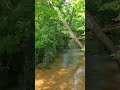 ASMR SOUNDS In Nature's Beauty & Delight #asmr #nature #water #beauty #asmrsounds #motivation #viral