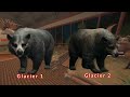 GREAT ONE BLACK BEAR GUIDE for Silver Ridge Peaks | theHunter: Call of the Wild