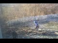 Tree Cutting Video