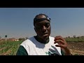 We became MILLIONAIRES!!! farming ONIONS in Zimbabwe!