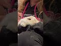 #chill bunny massage