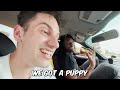 Surprising My DOG With A NEW PUPPY!