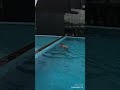 Freestyle Swim