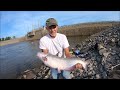 BEST DAY OF CATFISHING EVER! ARKANSAS RIVER BANK CATFISHING! #short #shorts #catfishing #viral