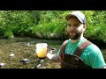 Washington Gold Prospecting v2