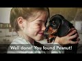 The lost dachshund (full game)