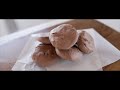 No-Bake 2-Ingredient Double Chocolate Chip Cookies Recipe No Butter, No Eggs!